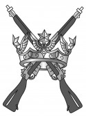 Regiment Logo
