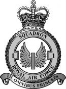 Regiment Logo