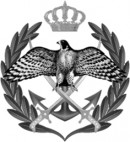 Regiment Logo